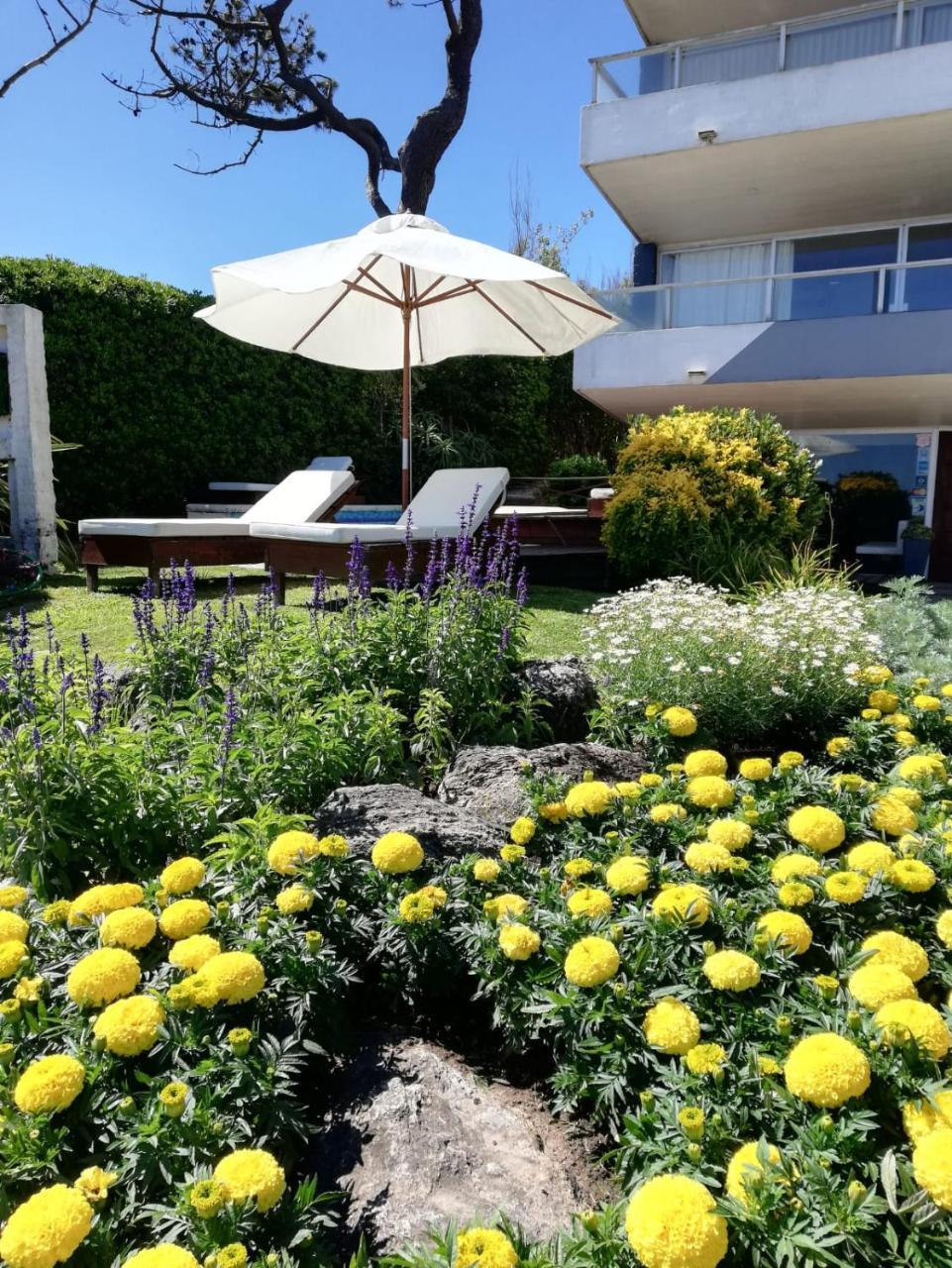 Bda Hotel & Spa Maldonado Eksteriør bilde